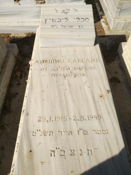 תמונת מצבה