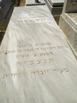 תמונת מצבה