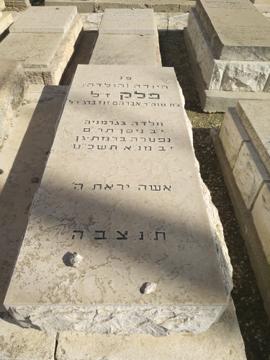 תמונת מצבה