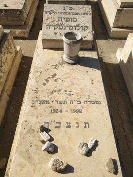 תמונת מצבה