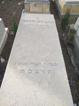 תמונת מצבה
