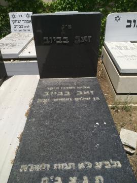 תמונת מצבה