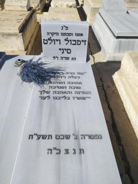 תמונת מצבה