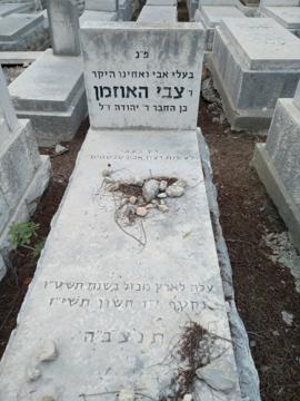 תמונת מצבה