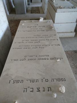 תמונת מצבה