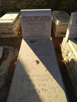 תמונת מצבה
