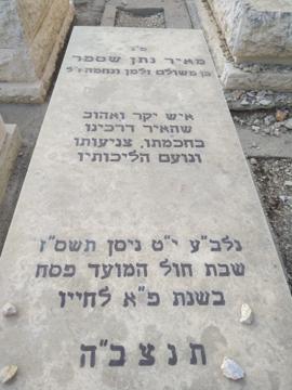 תמונת מצבה