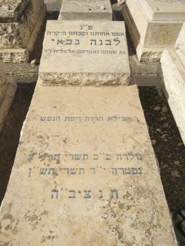תמונת מצבה