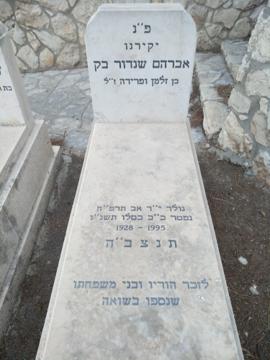 תמונת מצבה