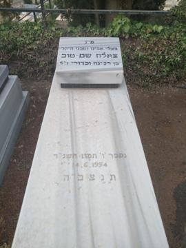 תמונת מצבה