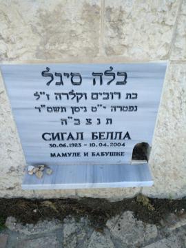 תמונת מצבה