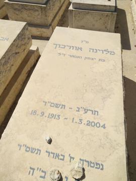 תמונת מצבה