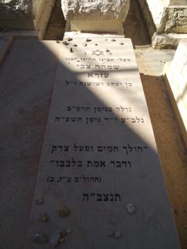 תמונת מצבה