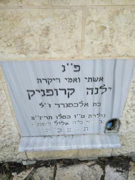 תמונת מצבה