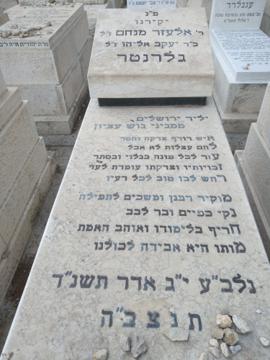 תמונת מצבה
