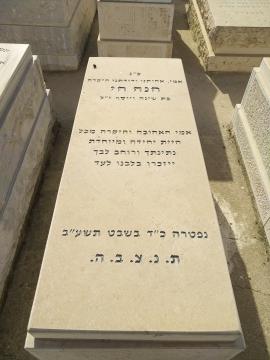 תמונת מצבה