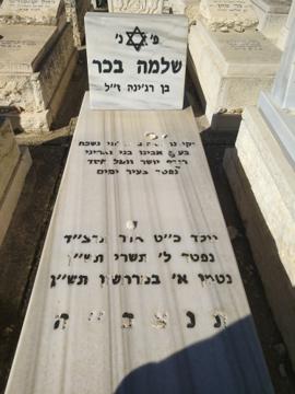 תמונת מצבה
