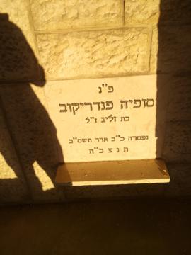 תמונת מצבה