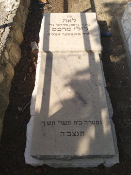 תמונת מצבה