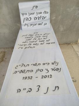 תמונת מצבה