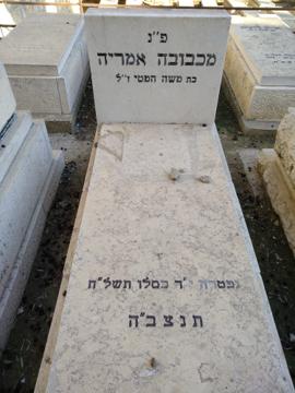 תמונת מצבה