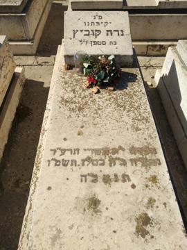 תמונת מצבה