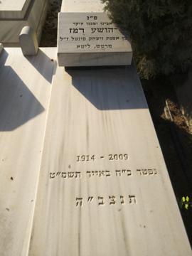 תמונת מצבה