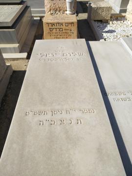 תמונת מצבה