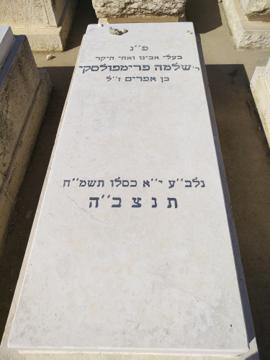 תמונת מצבה