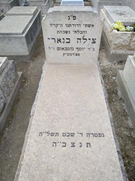 תמונת מצבה