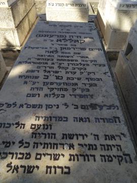 תמונת מצבה