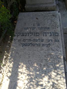 תמונת מצבה