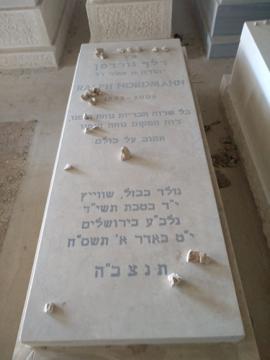 תמונת מצבה
