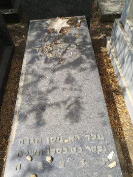 תמונת מצבה