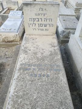 תמונת מצבה