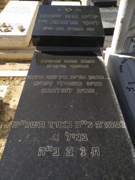 תמונת מצבה