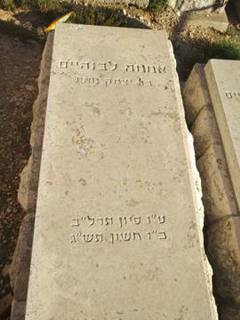 תמונת מצבה