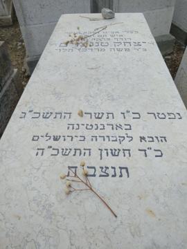 תמונת מצבה