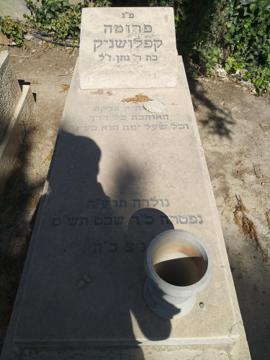 תמונת מצבה