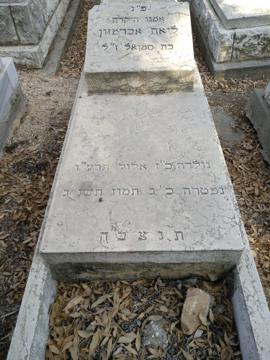 תמונת מצבה