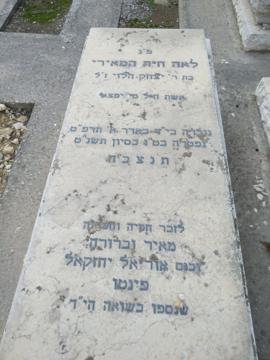 תמונת מצבה
