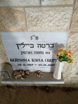 תמונת מצבה