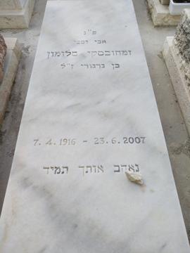 תמונת מצבה