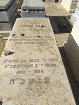 תמונת מצבה