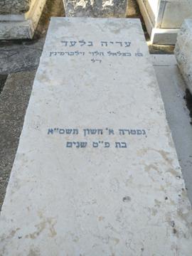 תמונת מצבה