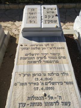 תמונת מצבה