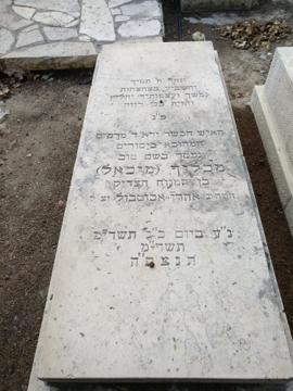 תמונת מצבה