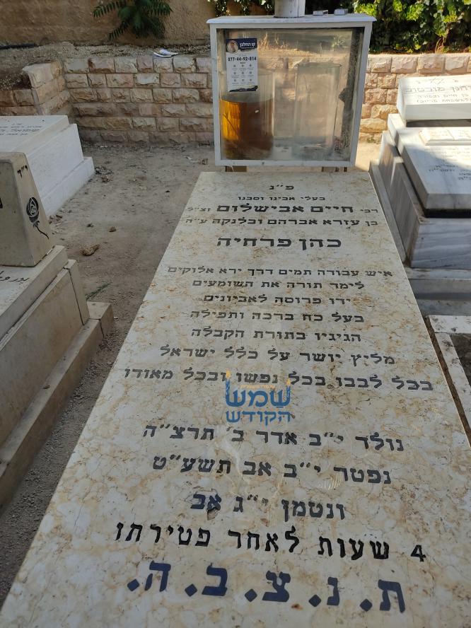 תמונת מצבה