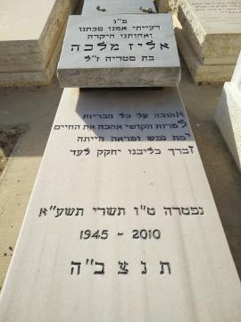 תמונת מצבה