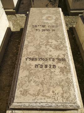 תמונת מצבה